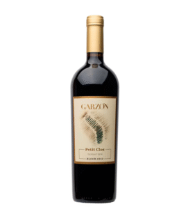 PETIT CLOS TANNAT6/750ml GARZON